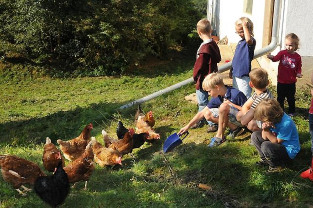 Exenbacher Hof Arnbruck Dış mekan fotoğraf